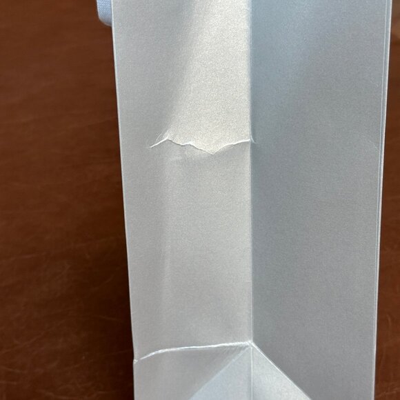 Gucci Silver Paper Shopping Bag with Ribbon - Picture 7 of 12